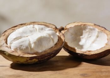 A fruta típica da floresta amazônica que ajuda a manter energia e humor estável durante todo o dia