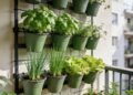 Horta suspensa: como plantar temperos e hortaliças mesmo em espaços pequenos