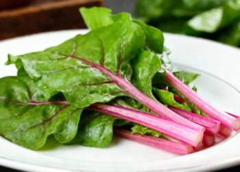 O verde digestivo que virou queridinho das hortas por ser simples de plantar