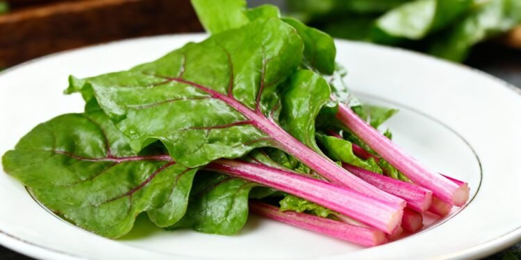 O verde digestivo que virou queridinho das hortas por ser simples de plantar