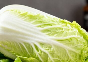 A folha que pouca gente valoriza, mas pode apoiar a digestão e noites mais leves