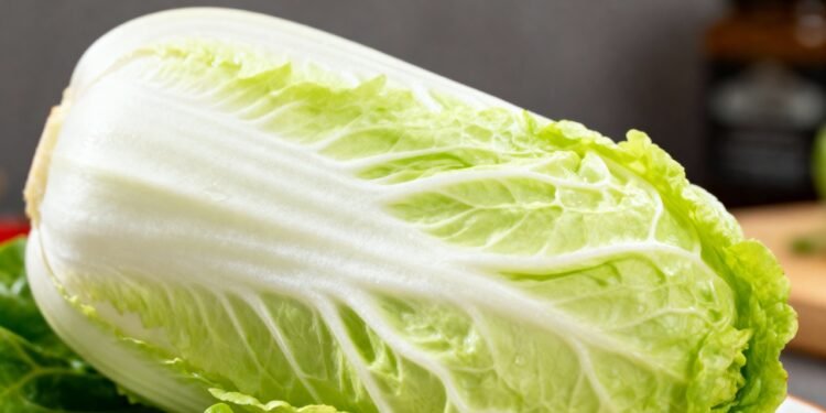 A folha que pouca gente valoriza, mas pode apoiar a digestão e noites mais leves