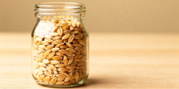 Intestino preguiçoso? Veja como a cevada pode ajudar na digestão naturalmente