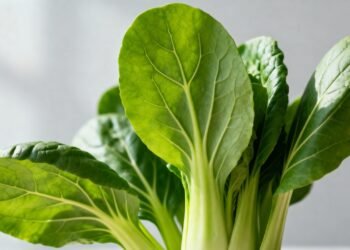 O vegetal que, ao bater com frutas, vira aliado de quem quer reduzir o inchaço