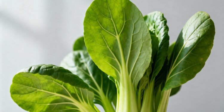 O vegetal que, ao bater com frutas, vira aliado de quem quer reduzir o inchaço