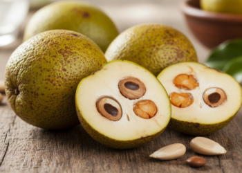 O fruto marcante do Cerrado que protege células e ainda inspira formas sustentáveis de plantio