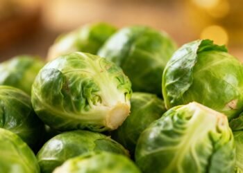 A verdura nutritiva que surpreende na cozinha e rende colheitas generosas