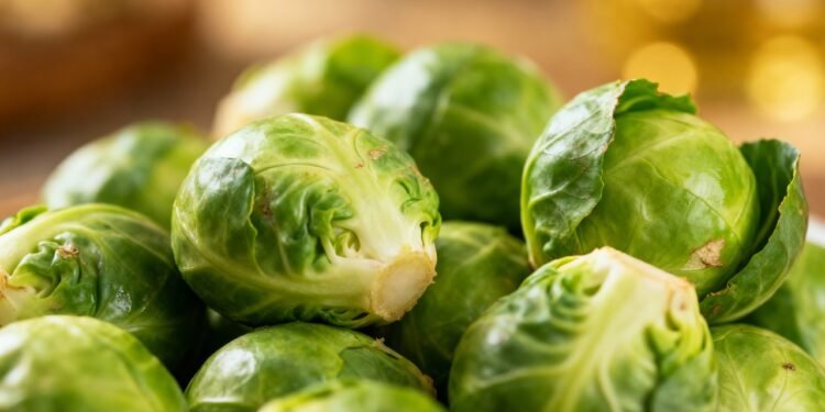 A verdura nutritiva que surpreende na cozinha e rende colheitas generosas