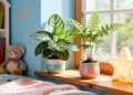 As plantas seguras que deixam o quarto infantil mais aconchegante e fácil de cuidar