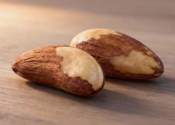 Apenas duas unidades desta castanha por dia ativam a tireoide, protegem o cérebro e entregam uma dose de selênio que nenhum remédio consegue igualar