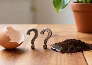 Casca de ovo, borra de café e mais 2 ingredientes: o que acontece se misturar tudo?