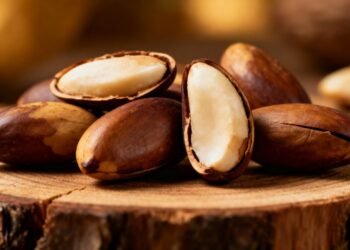 O alimento pequeno e poderoso que ganhou espaço no cuidado com o cérebro em 2026