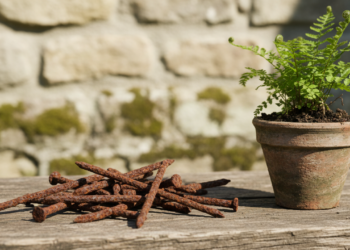 Enterrar pregos enferrujados no vaso: mito ou salvação para plantas?