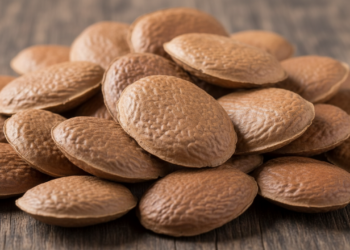 A semente brasileira usada para dores articulares e que pode ser plantada em quintal grande