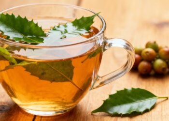 Ritual diário: o chá que traz leveza digestiva, aroma suave e um toque de proteção antioxidante