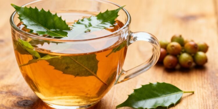 Ritual diário: o chá que traz leveza digestiva, aroma suave e um toque de proteção antioxidante