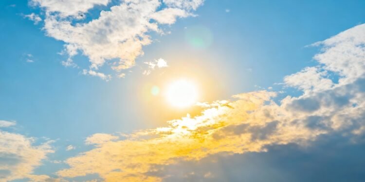 A vitamina D não vem só do sol e a suplementação correta pode blindar sua imunidade contra gripes e resfriados recorrentes