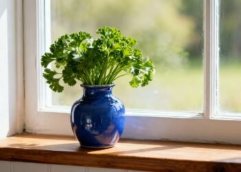 A plantinha aromática que alivia desconfortos e rende colheitas quase o ano todo