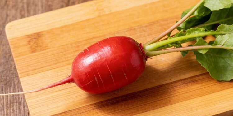 O vegetal fresquinho que muita gente usa para leveza e que você colhe em poucas semanas