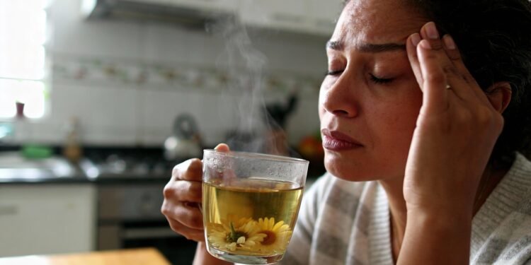As plantas que mais ajudam a aliviar dor de cabeça e como usar com segurança