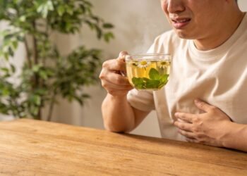 As ervas que suavizam azia, gases e enjoo e ainda podem ser cultivadas no quintal de casa