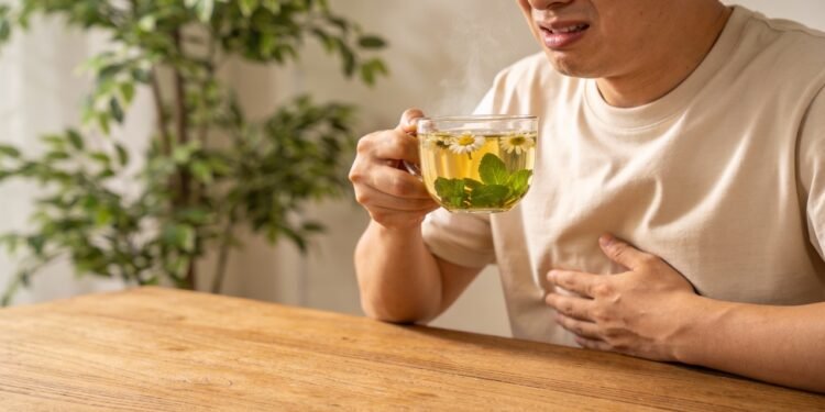 As ervas que suavizam azia, gases e enjoo e ainda podem ser cultivadas no quintal de casa
