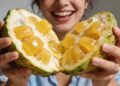 Pouco falada, essa fruta tropical pode ajudar no ânimo, na saciedade e pode ser plantada no quintal de casa