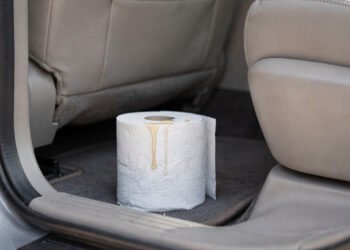 Por que pendurar rolos de papel higiênico no carro (não é para bagunça)