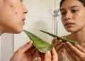 As plantas que ajudam a acalmar a pele oleosa e apoiar o controle natural da acne