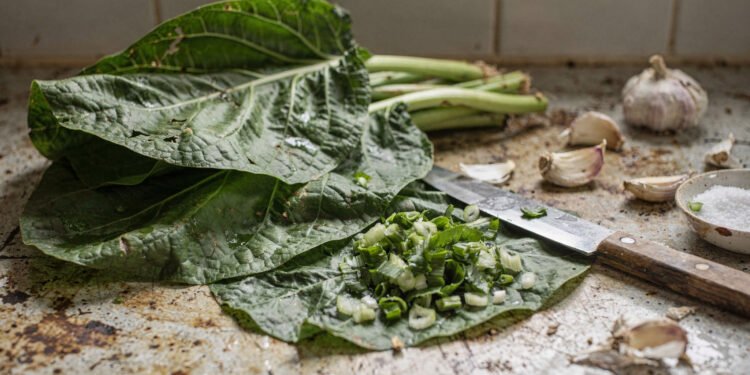 Essa folha verde é rica em fibras, vitaminas e minerais, e ainda é fácil de preparar em casa