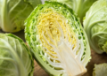 Couve-de-bruxelas: o vegetal pouco conhecido que fortalece a imunidade