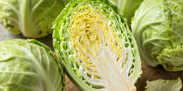 Couve-de-bruxelas: o vegetal pouco conhecido que fortalece a imunidade