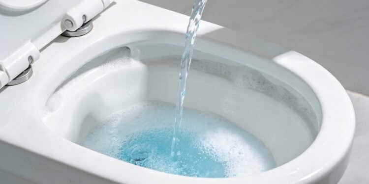 Poucos sabem por que recomendam jogar água sanitária no vaso pelo menos uma vez por semana