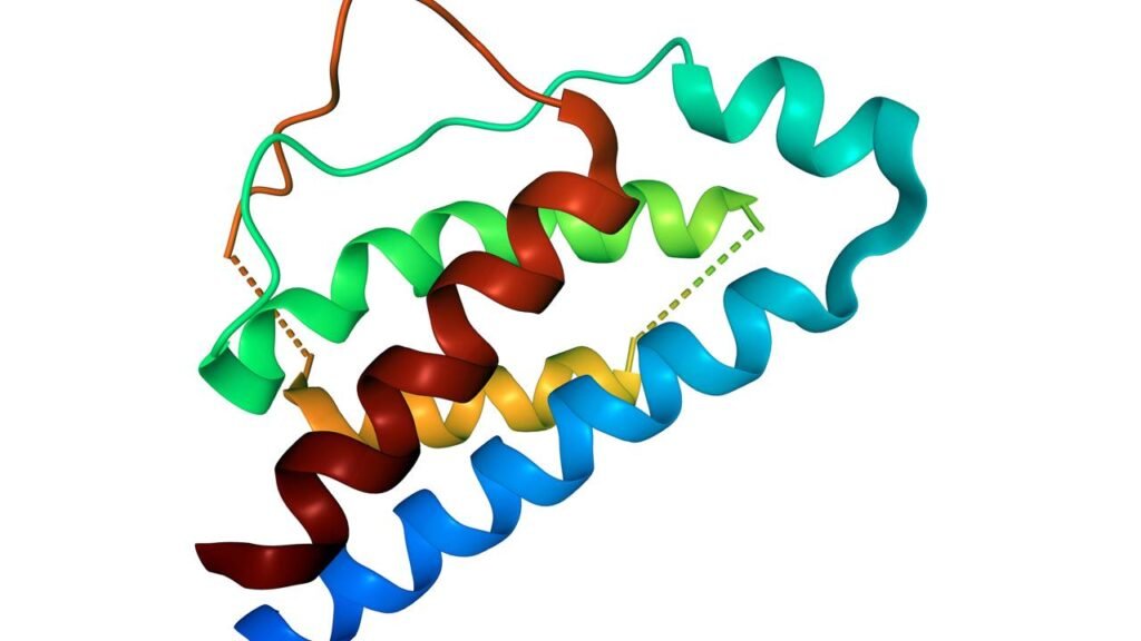 Cientistas descobrem que a relação entre sistema nervoso e inflamação pode apontar novos caminhos para tratar a depressão