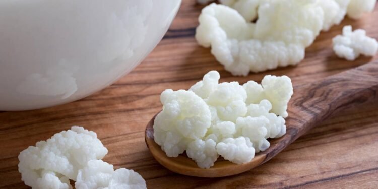 A bebida fermentada que alivia desconfortos e pode melhorar o trânsito intestinal