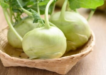 O vegetal pouco conhecido que reduz gases, melhora a digestão e traz conforto abdominal