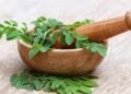 Para que serve a moringa e como usar com segurança