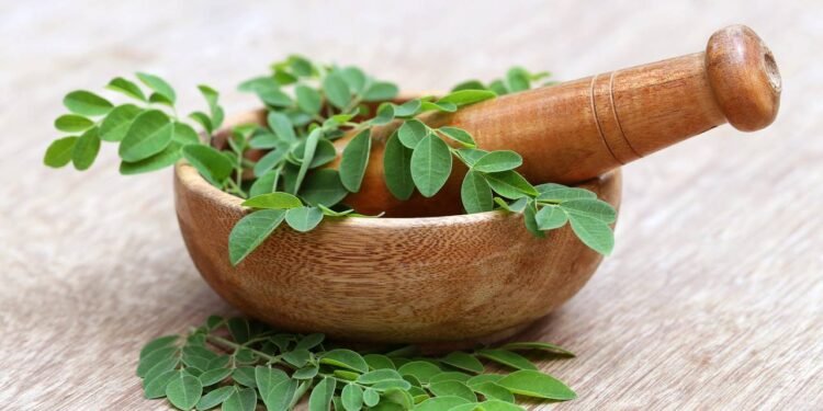 Moringa - Créditos: depositphotos.com / bdspn74