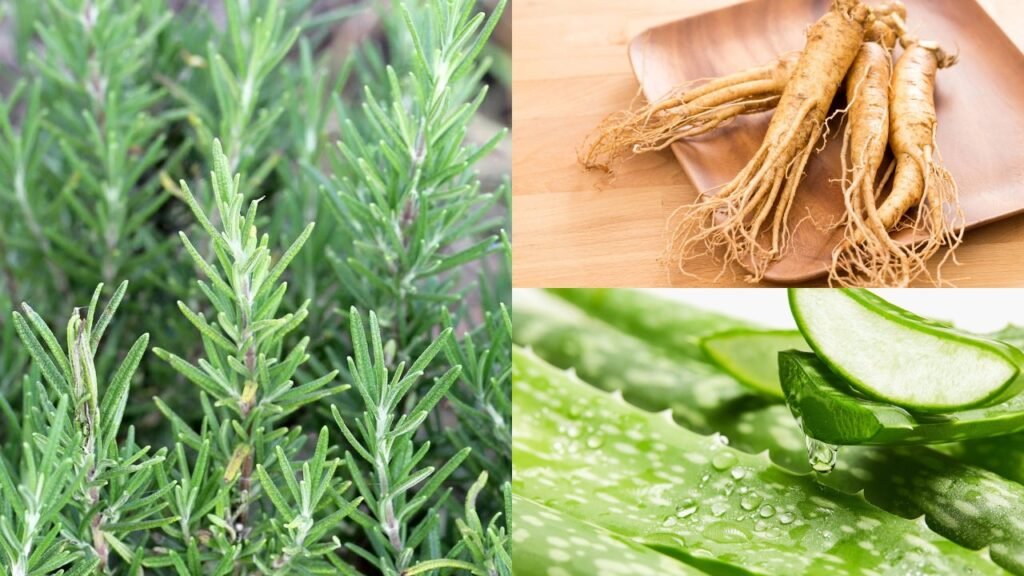 Planta medicinal chama atenção por fortalecer os fios