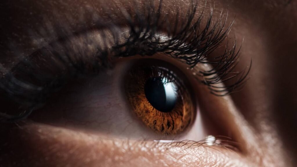 Quantas vezes uma pessoa pisca todos os dias