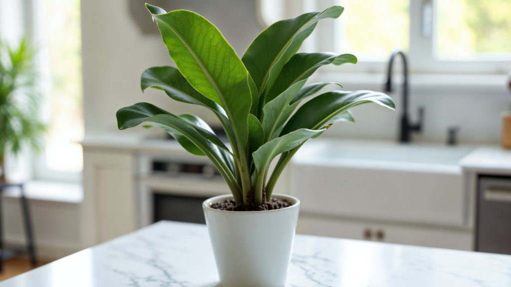 Poucos sabem qual a planta que deve ser colocada na porta da casa para a prosperidade