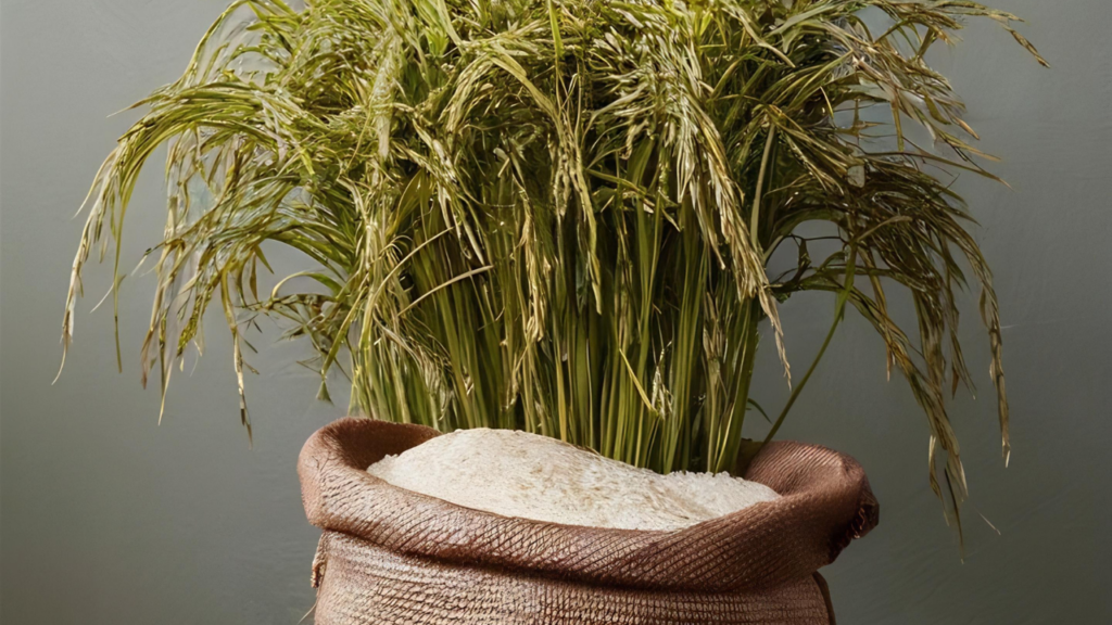 Por que você deveria colocar arroz cru na terra do potus