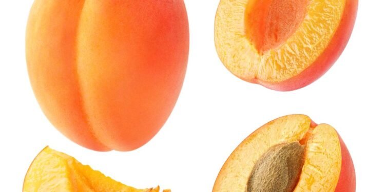 Damasco melhora colesterol e circulação? Entenda - Créditos: depositphotos.com / photomaru