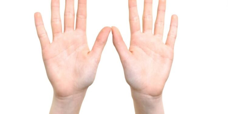 O guia definitivo para entender os dedos da mão humana - Créditos: depositphotos.com / wdnet