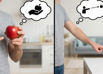 Diferença entre "este" e "esse" explicada com exemplos práticos e claros