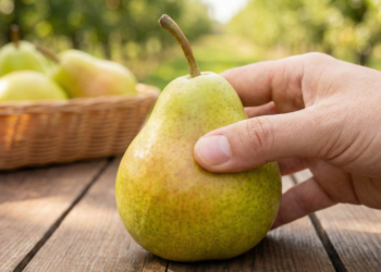 Poucos sabem como identificar se a pera está madura pelo toque correto, segundo especialistas em fruticultura
