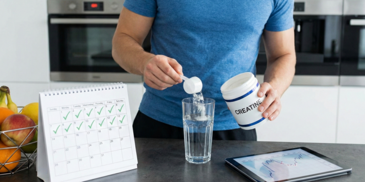 Creatina todos os dias: por que a ciência apoia o uso contínuo do suplemento