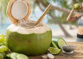 O que torna a água de coco tão valorizada na saúde e hidratação