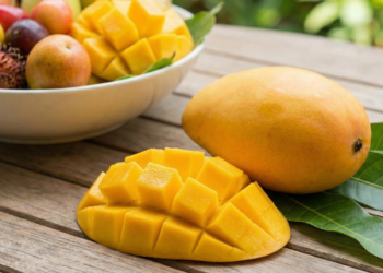 Por que a manga é considerada uma das frutas mais completas da nutrição