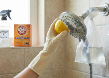 As melhores dicas para eliminar o calcário do chuveiro sem produtos químicos